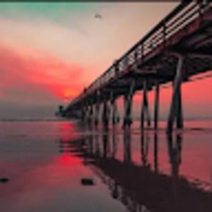 Meet your Posher, Bobby